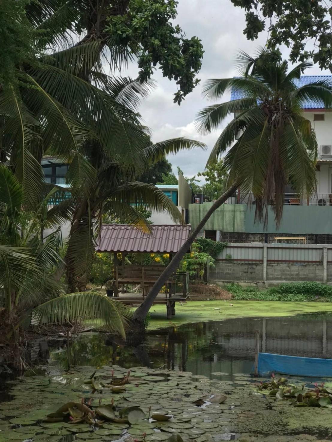 Baan Lotus Guest House فرا ناخون سي أيوتثايا المظهر الخارجي الصورة