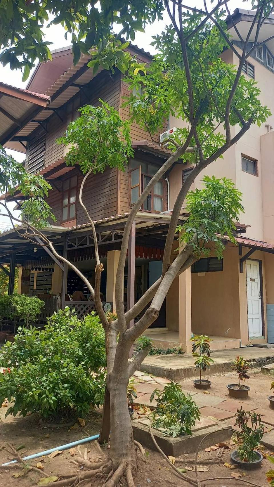 Baan Lotus Guest House فرا ناخون سي أيوتثايا المظهر الخارجي الصورة